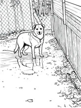 Load image into Gallery viewer, Stevie the Wonderdog Coloring Book