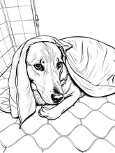 Load image into Gallery viewer, Stevie the Wonderdog Coloring Book