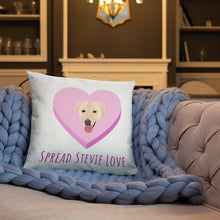 Load image into Gallery viewer, Spread Stevie Love Pillow