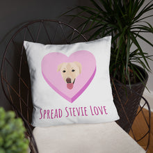 Load image into Gallery viewer, Spread Stevie Love Pillow