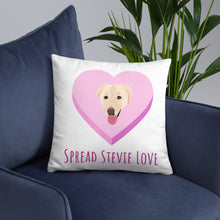 Load image into Gallery viewer, Spread Stevie Love Pillow