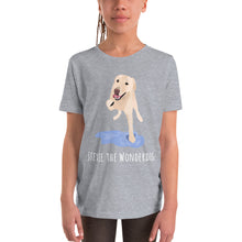 Load image into Gallery viewer, Original Stevie the Wonderdog Youth T-shirt