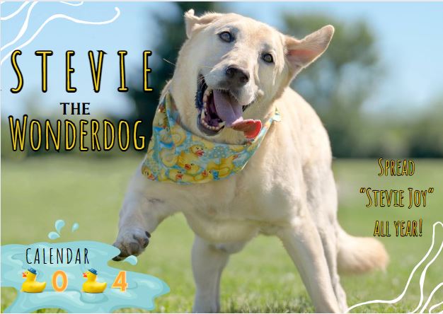 2024 STEVIE CALENDAR!! Pre-Sale!!