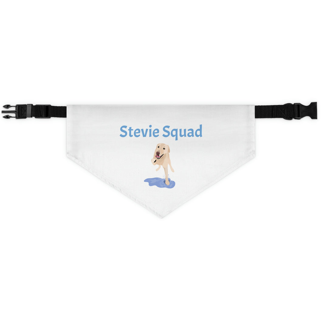 Stevie bandana