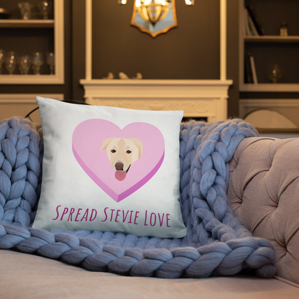 Spread Stevie Love Pillow