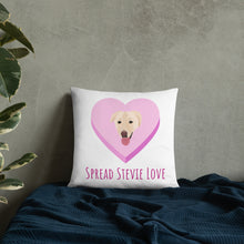 Load image into Gallery viewer, Spread Stevie Love Pillow
