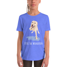 Load image into Gallery viewer, Original Stevie the Wonderdog Youth T-shirt
